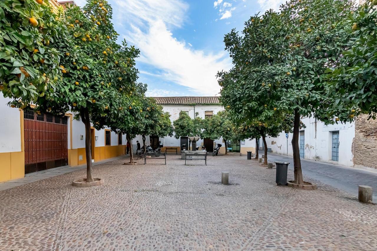 Appartamento Bhost - Regina IV Cordova Esterno foto